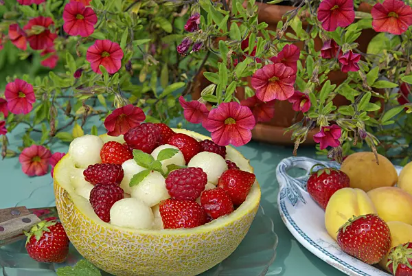 452162 - Petunias (Petunia Million Bells), garden strawberry (Fragaria x ananassa), apricots (Prunus armeniaca) and melon (Cucumis melo)