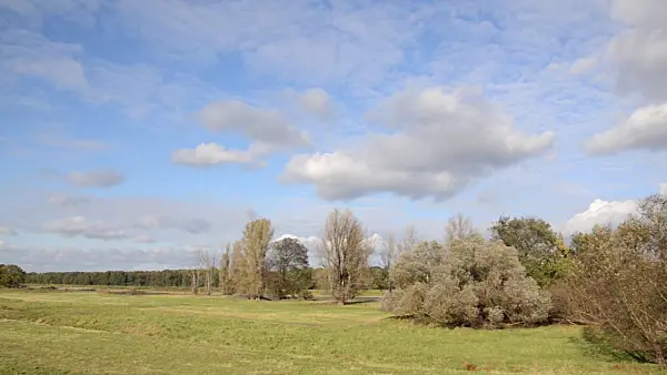 501147 - Plaine alluviale, réserve naturelle de Oderwiesen, Francfort-sur-l'Oder, Allemagne