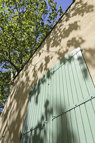 557192 - Plane (Platanus) in front of a Provençal house, France