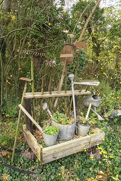 625098 - Planted tin watering cans and other garden tools