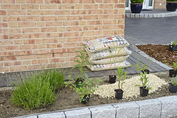 531237 - Planting a gravel bed