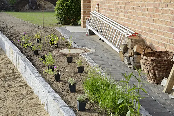 531238 - Planting a perennial bed