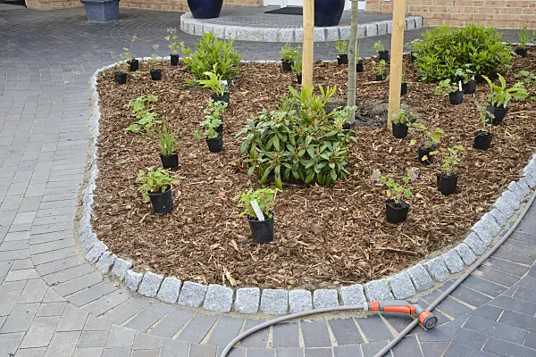 531239 - Planting a perennial bed