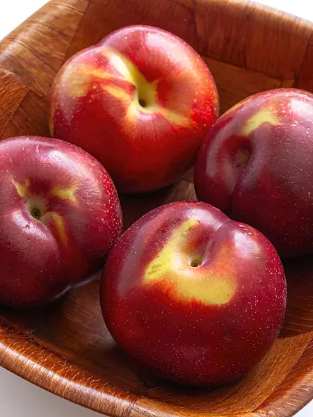 433188 - Plum (Prunus domestica 'Zafira')