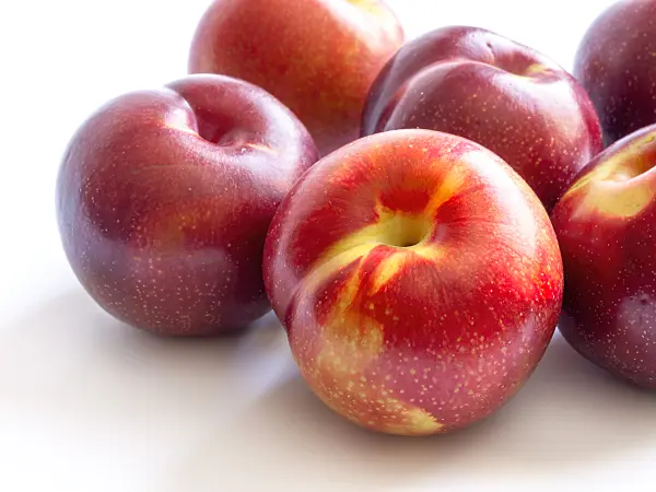433191 - Plum (Prunus domestica 'Zafira')