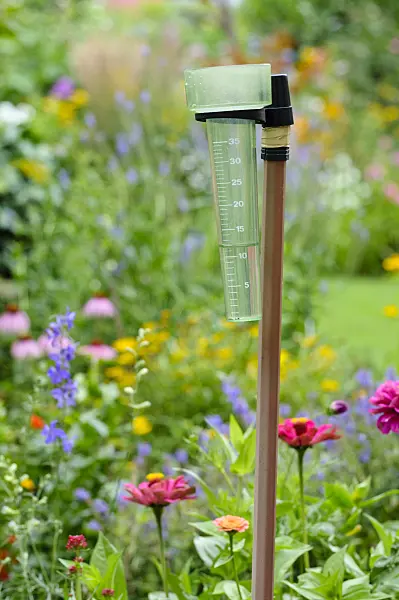 474329 - Pluviomètre dans un jardin