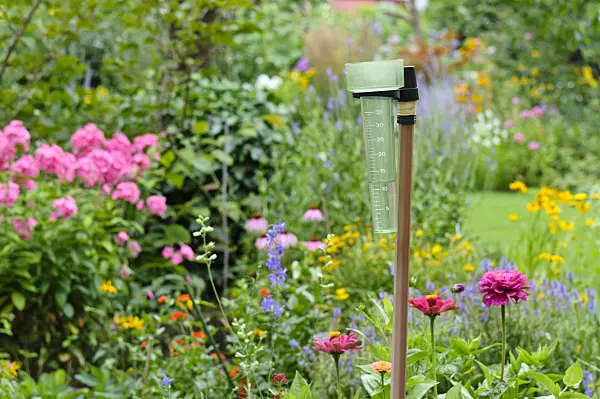 474330 - Pluviomètre dans un jardin