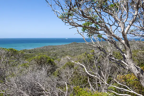455257 - Point Nepean National Park, Australia