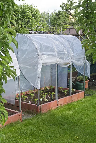 532025 - Poly greenhouse