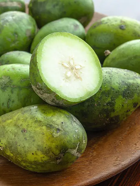 434299 - Polynesian plum (Spondias cytherea)