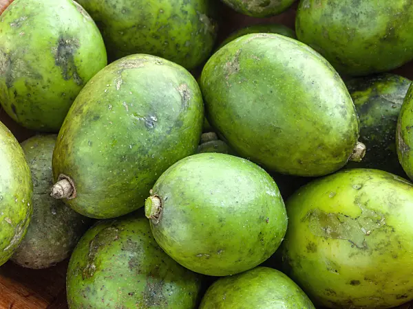 434300 - Polynesian plum (Spondias cytherea)
