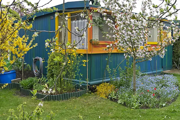 543058 - Pommier devant un abri de jardin