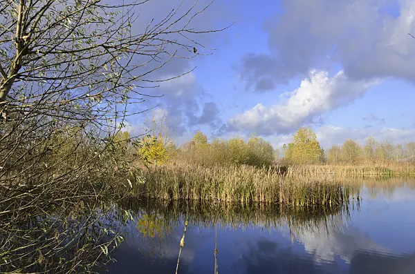 526033 - Pond on a former sewage farm near Hobrechtsfelde, Berlin, Germany