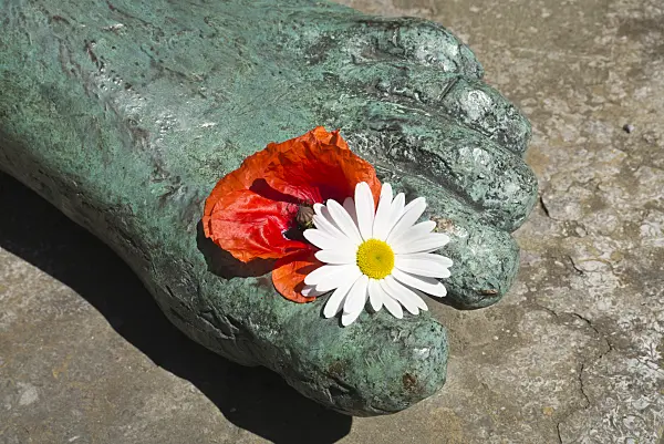 610013 - Poppy (Papaver) and daisy (Leucanthemum) with foot of a sculpture