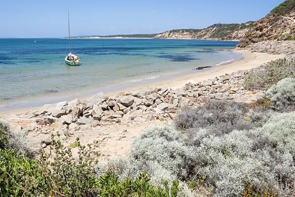 455249 - Port Phillip Bay, Point Nepean National Park, Australia