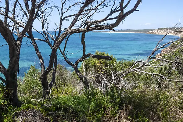 455253 - Port Phillip Bay, Point Nepean National Park, Australia