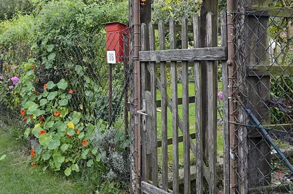 524086 - Porte de jardin en bois d'un jardin familial