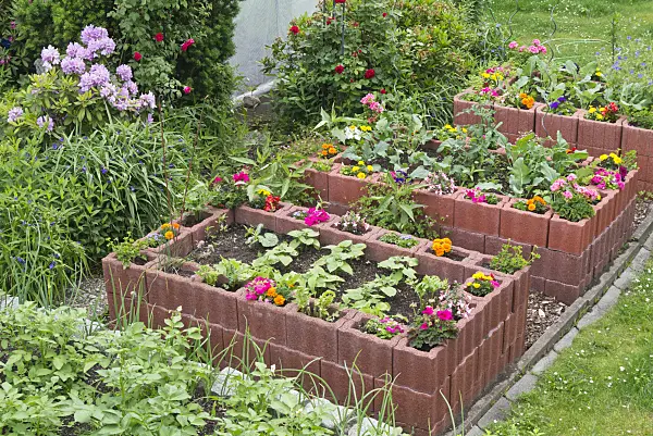557032 - Potager surélevé auto-construit en pierre