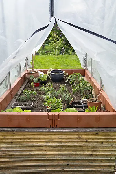 544094 - Potager surélevé avec tunnel plastique
