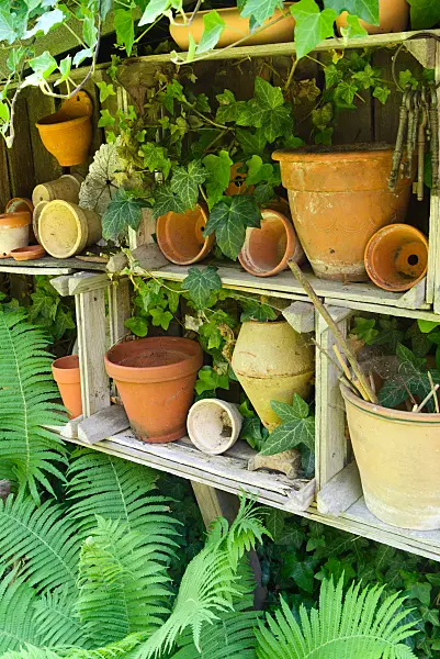 672085 - Pots en terre cuite sur une étagère de jardin composée de caisses en bois