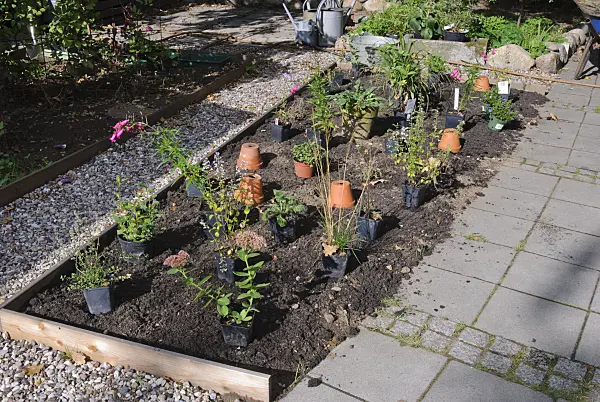483046 - Pots laid out on the bed before planting