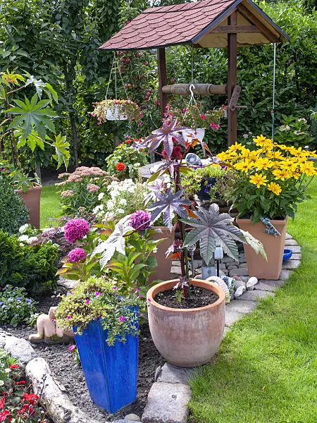 490008 - Potted plants in a garden