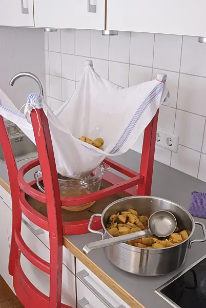 483048 - Preparing quince juice