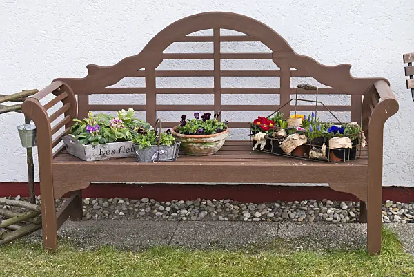 542005 - Primroses (Primula) and violets (Viola) in pots on a garden bench