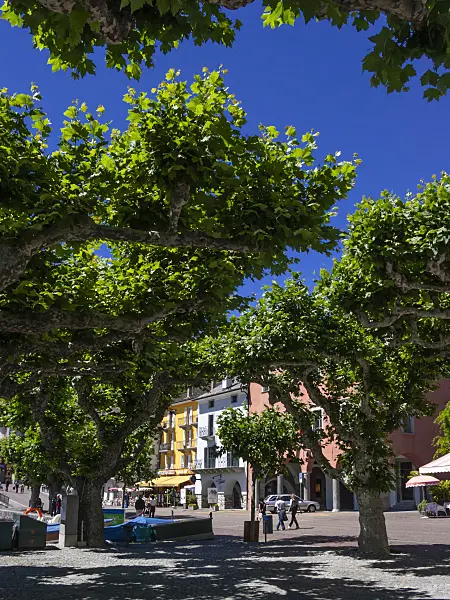414127 - Promenade at Lago Maggiore, Ascona, Switzerland