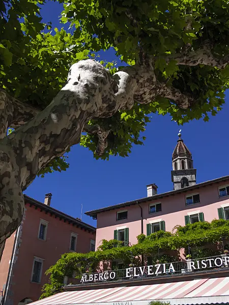 414128 - Promenade at Lago Maggiore, Ascona, Switzerland