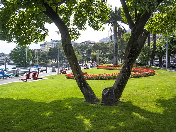 414125 - Promenade au lac Majeur, Ascona, Suisse