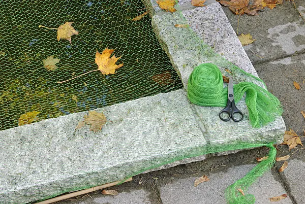517004 - Protecting garden pond with a net against autumn leaves (2)