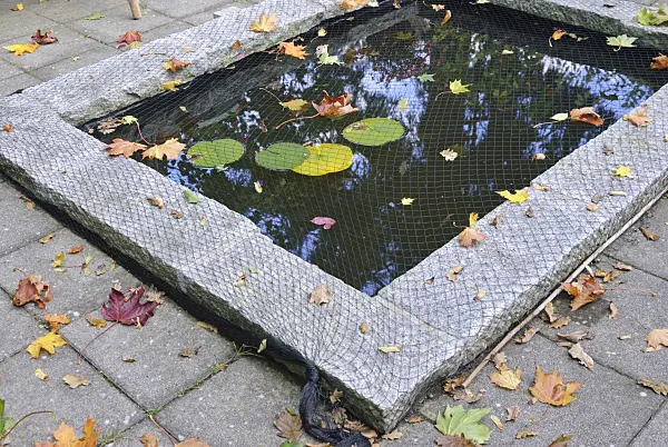 518059 - Protecting garden pond with a net against autumn leaves (4)