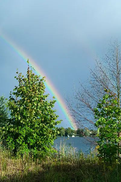671008 - Rainbow over a lake