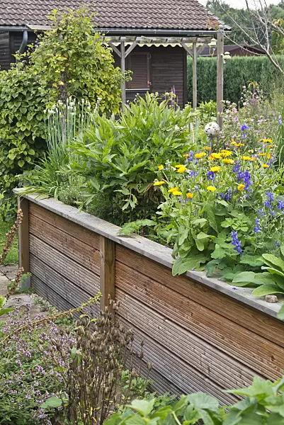535007 - Raised bed in an allotment garden