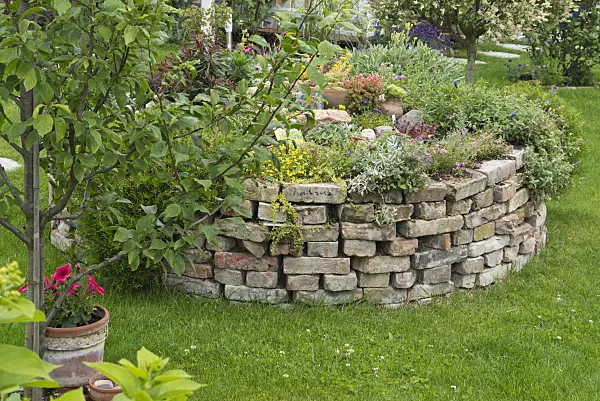 534259 - Raised bed made of bricks