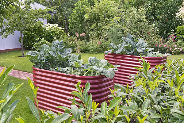 572115 - Raised bed made of corrugated metal sheet