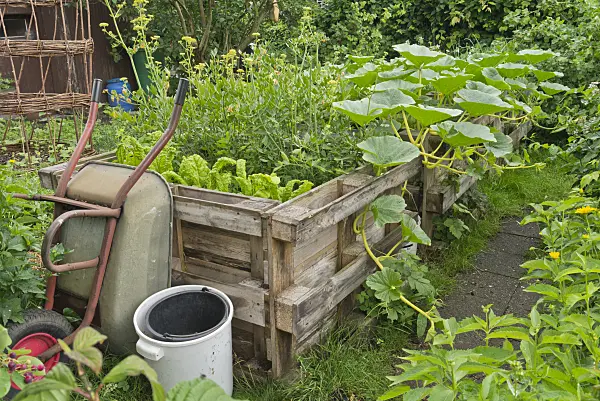 558301 - Raised bed made of wooden pallets