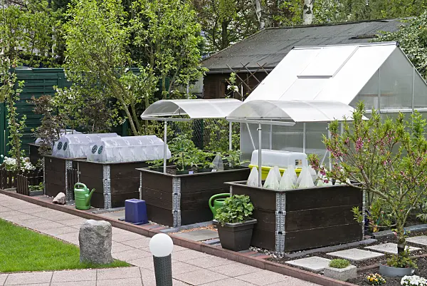 544054 - Raised beds, cold frames and greenhouse in an allotment garden