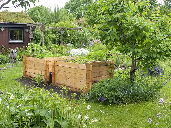523249 - Raised beds in a natural garden