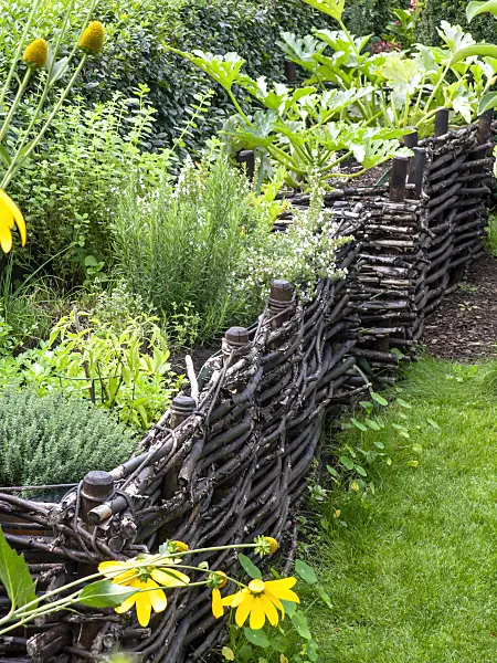 490009 - Raised beds in a vegetable garden