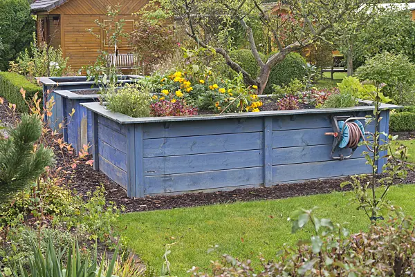 576006 - Raised beds in an autumnal garden