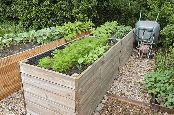 545123 - Raised beds with hand barrow and hose reel