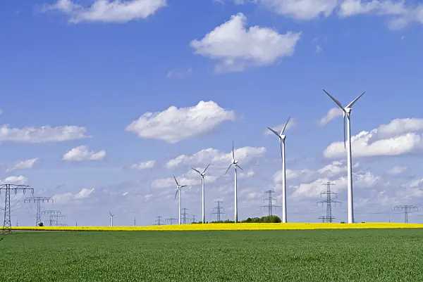 544057 - Rape (Brassica napus subsp. oleifera) with wind turbines and transmission towers, Germany