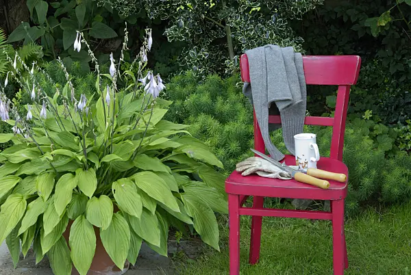 456002 - Red chair with gardening tools