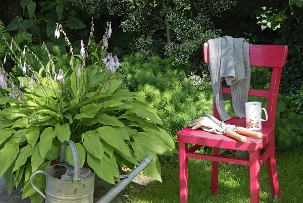 456003 - Red chair with gardening tools