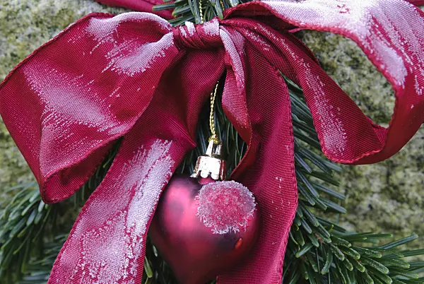 479047 - Red ribbon bow and heart on a fir branch with hoar frost