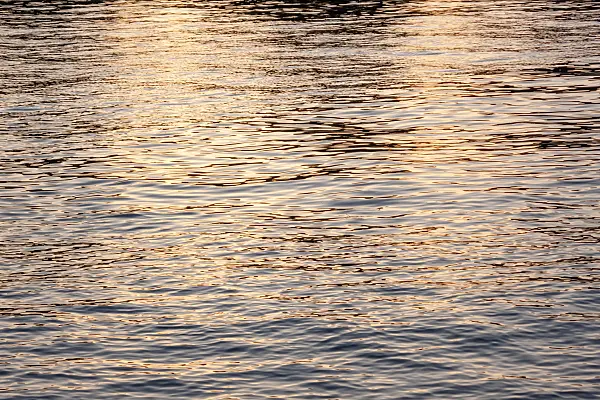 452250 - Reflections in slightly moved water in the evening sun
