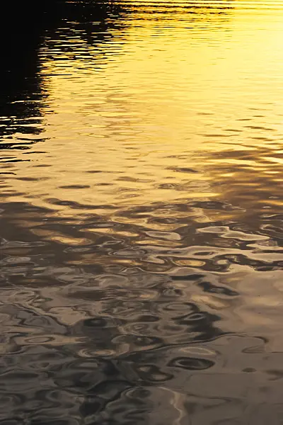 381015 - Reflections in the slightly agitated water of a lake in the evening sun