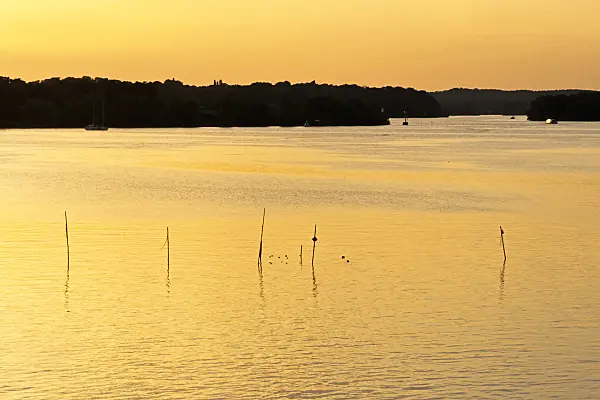 381012 - Reflections in the water with bars for fish traps at sunset, Jungfernsee, Brandenburg, Germany